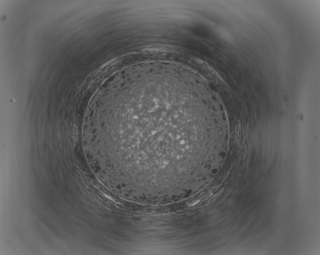 X0000084530821200703091625