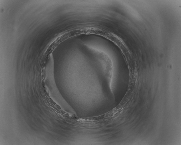 X0000084530823200703091625