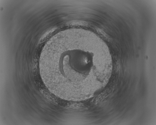 X0000084530824200703091625