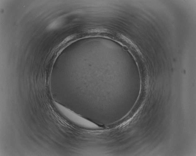 X0000084530825200703091626