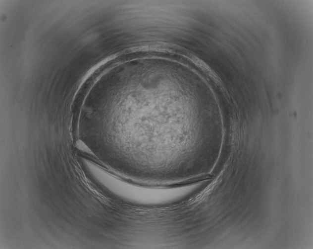 X0000084530830200703091626