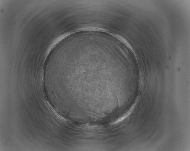 X0000084530831200703091626