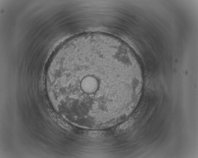 X0000084530832200703091626