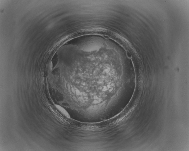 X0000084530833200703091626