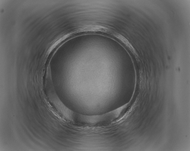 X0000084530834200703091626