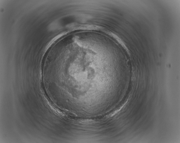 X0000084530837200703091626