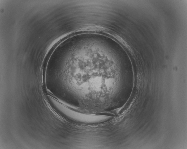 X0000084530838200703091626