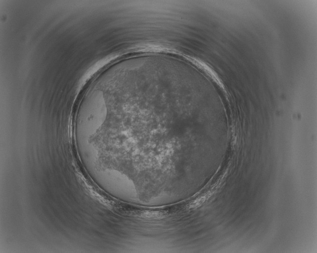 X0000084530839200703091626