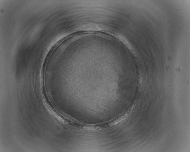 X0000084530840200703091626