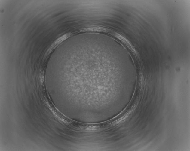 X0000084530841200703091626