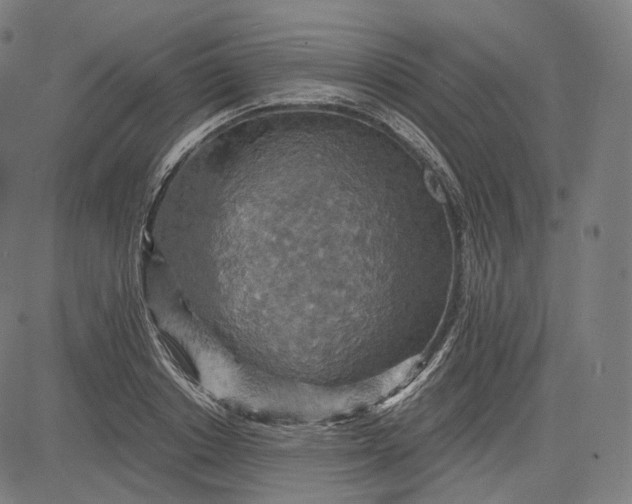 X0000084530842200703091626