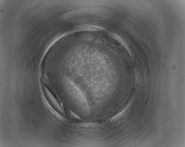 X0000084530843200703091626