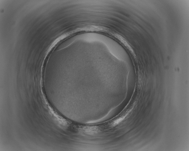 X0000084530845200703091626