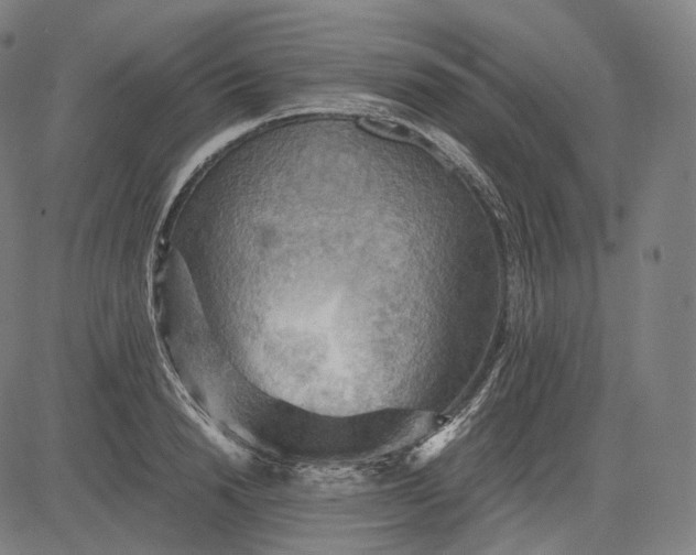 X0000084530846200703091626