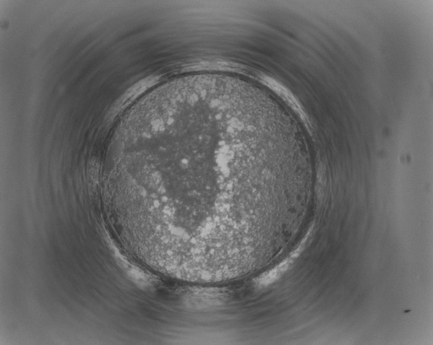 X0000084530849200703091626