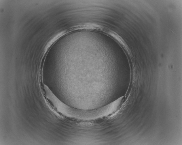 X0000084530850200703091626