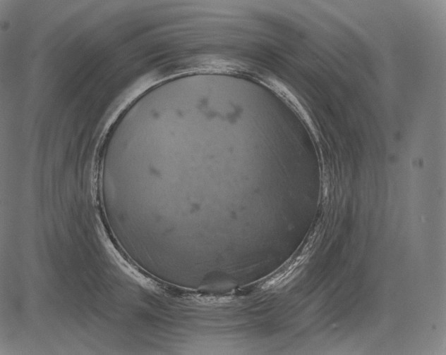 X0000084530851200703091626