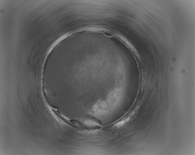 X0000084530853200703091626