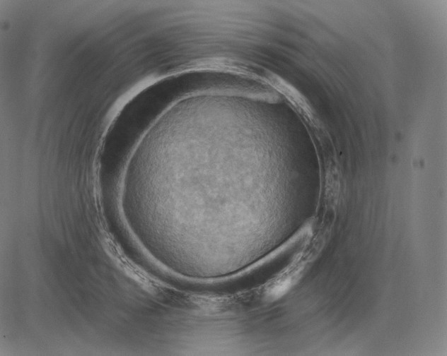 X0000084530854200703091626