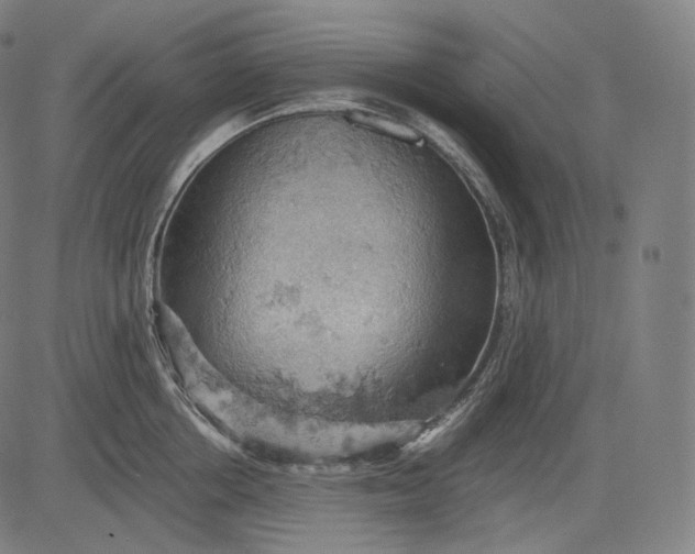 X0000084530858200703091626