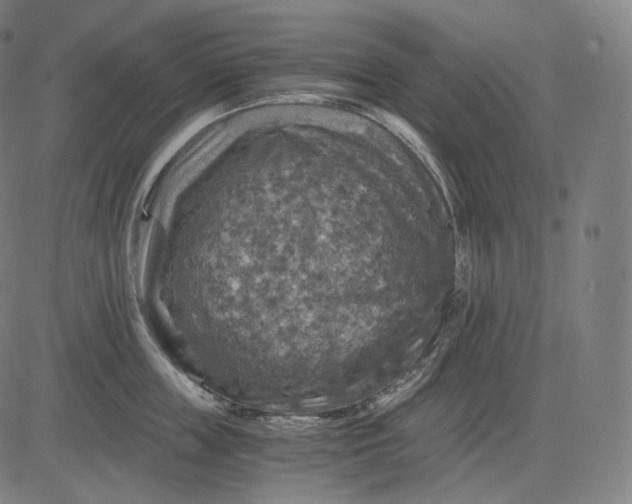 X0000084530859200703091626