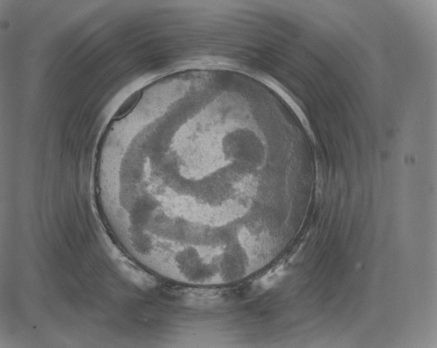 X0000084530861200703091626