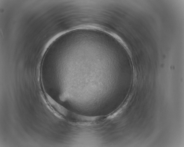 X0000084530862200703091626