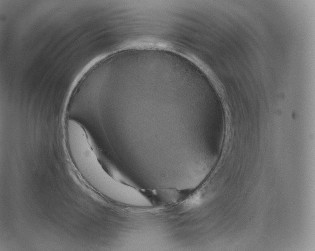 X0000084530864200703091626