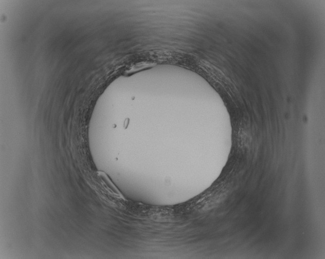 X0000084530865200703091625