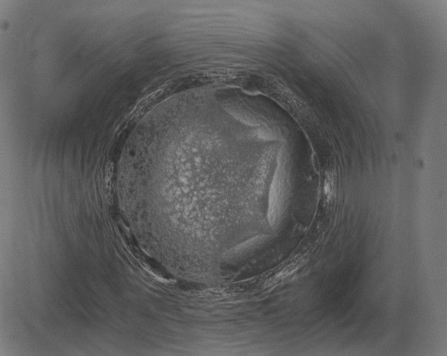 X0000084530867200703091625