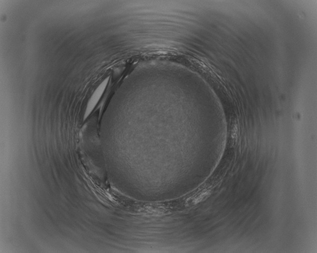 X0000084530868200703091625