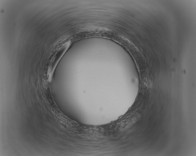 X0000084530869200703091625