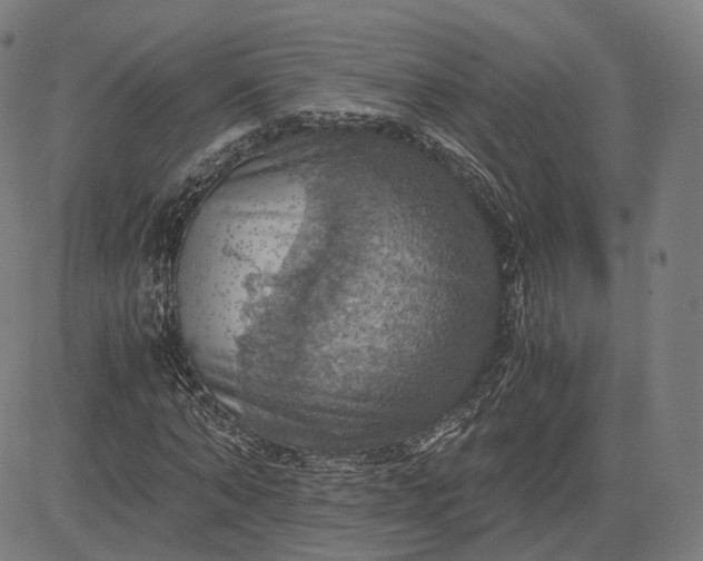 X0000084530870200703091625