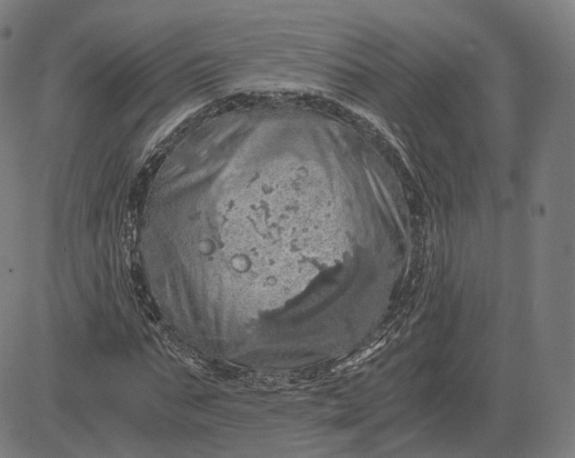 X0000084530871200703091625