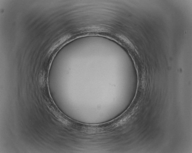 X0000084530873200703091625