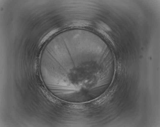 X0000084530874200703091625