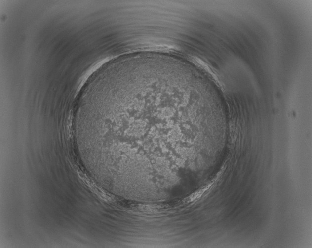 X0000084530875200703091625