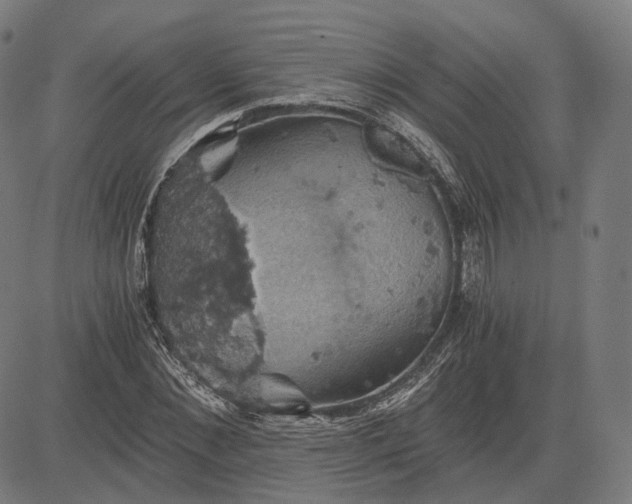 X0000084530876200703091625