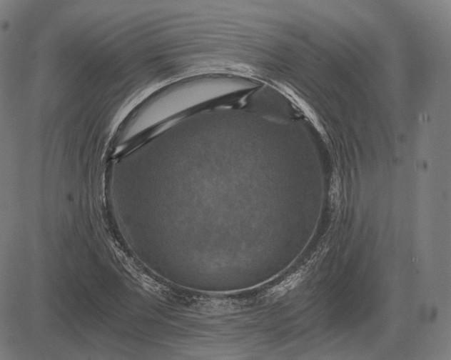 X0000084530877200703091625