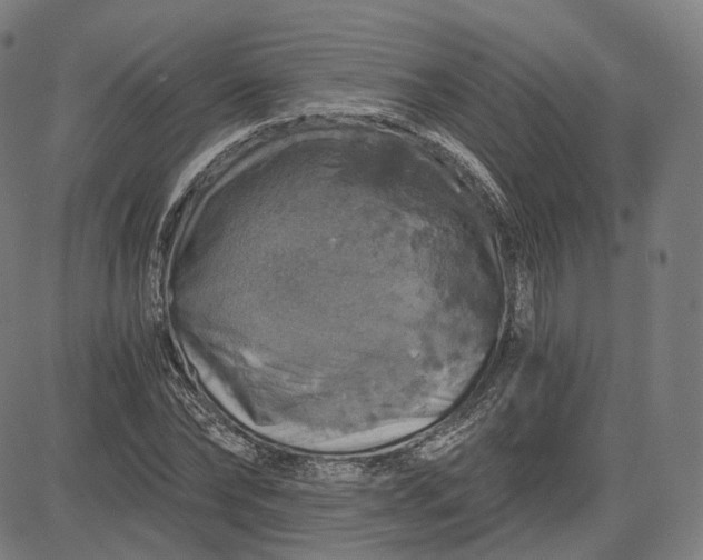 X0000084530878200703091625