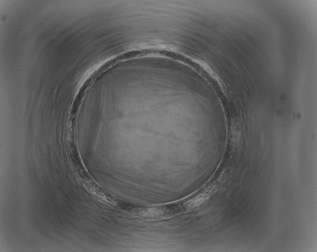 X0000084530879200703091625