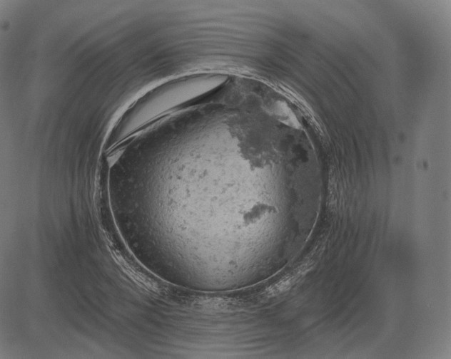 X0000084530880200703091625