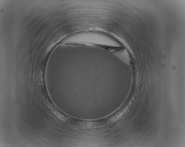 X0000084530881200703091625