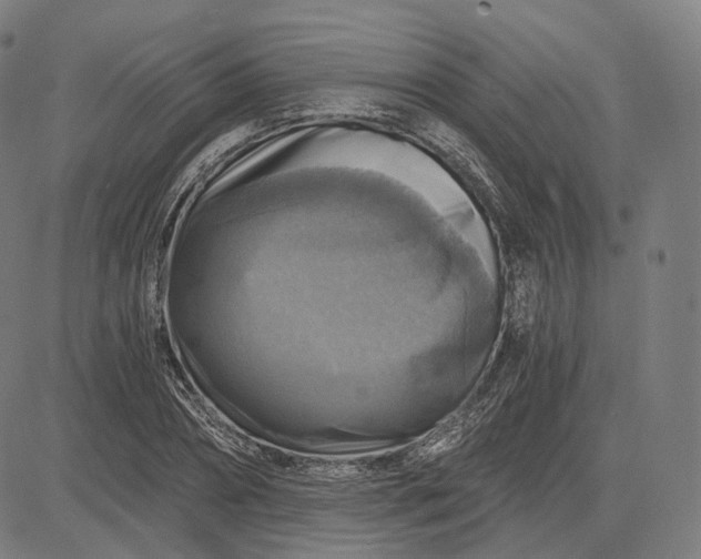 X0000084530882200703091625