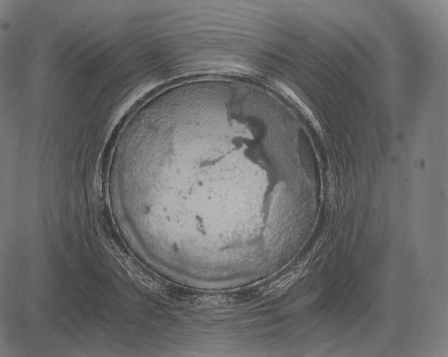 X0000084530883200703091625