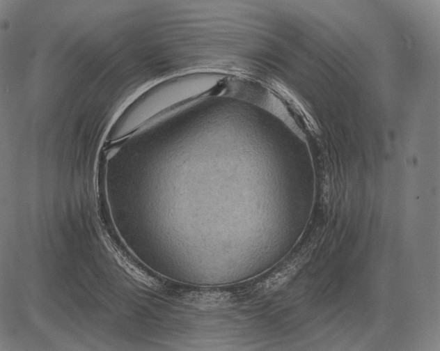 X0000084530884200703091625