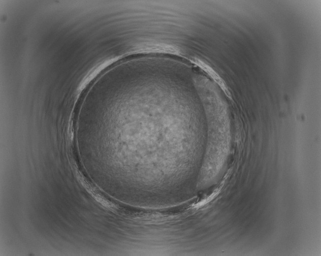 X0000084530885200703091625