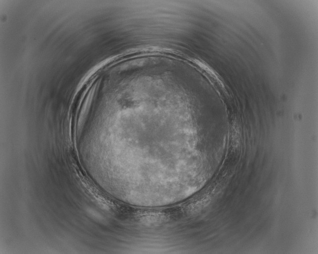 X0000084530886200703091625