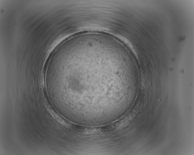 X0000084530887200703091625