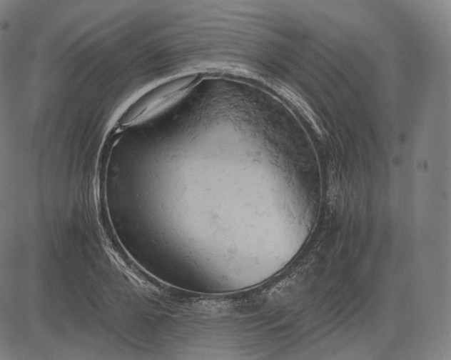 X0000084530888200703091625